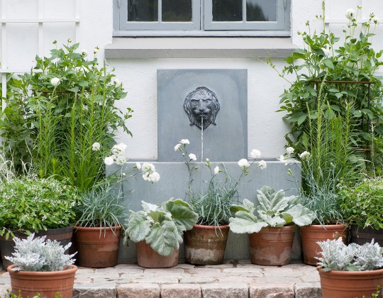 Sommerblomster i krukker