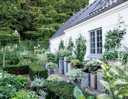 Smuk variation af krukker og planter