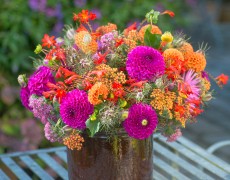 Flot buket af dahlia i Kenzo farver