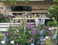 Chelsea Flower Show