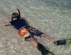 Snorkling på Mahmya