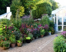 Claus Dalbys krukker