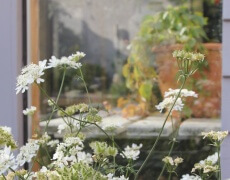 Genbrugsdrivhus af gamle vinduer