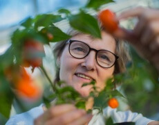 Lene Tvedgaard med sine chili