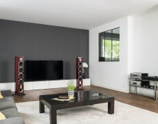 Placering af højttalere