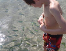 Akvariefisk om benene