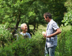 Snak om naboens træer