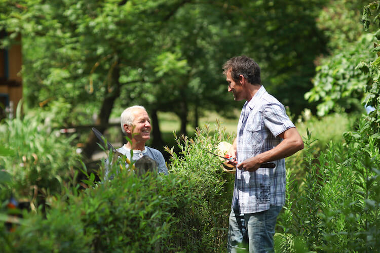 Snak om naboens træer
