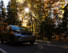 Samlino bilforsikring