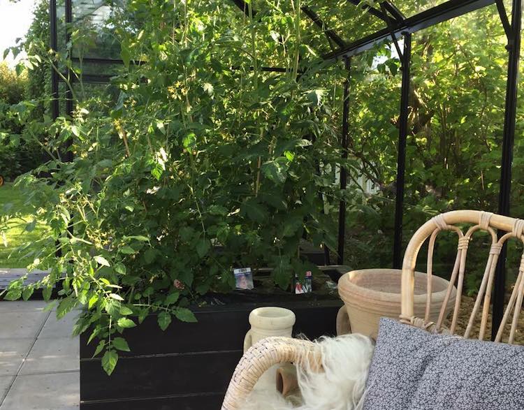 Et isoleret drivhus forlænger din sæson