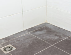 Rust, skimmel og kalk