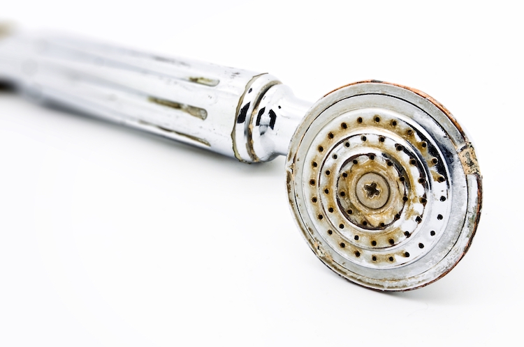 Rust på brusehovedet