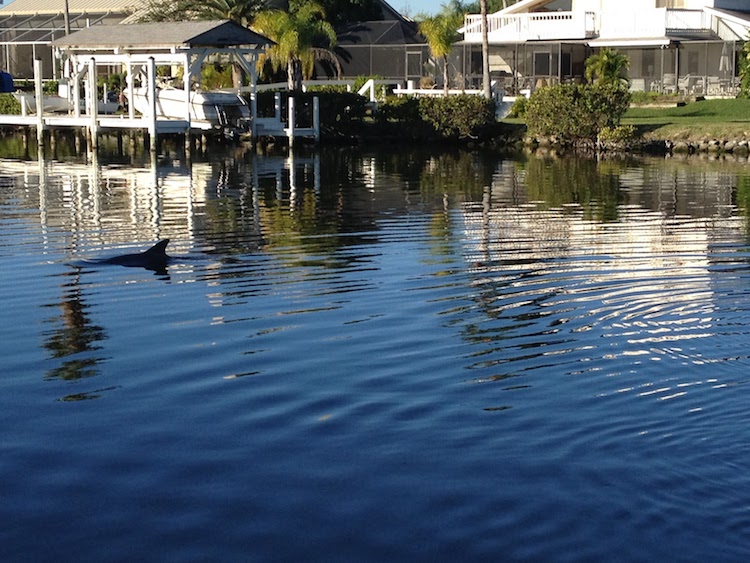 Susannes ferie i Florida