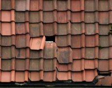 Tag efter efterårsstorm