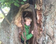 Et klatretræ er den bedste legeplads