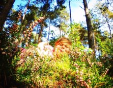 Herlig tur på Melby Overdrev