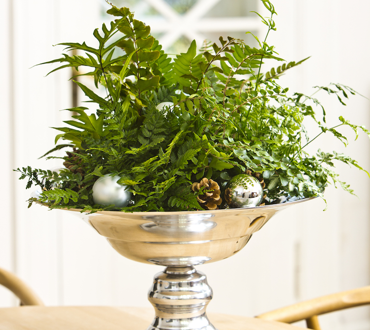 Bregner er velegnede til julepyntning