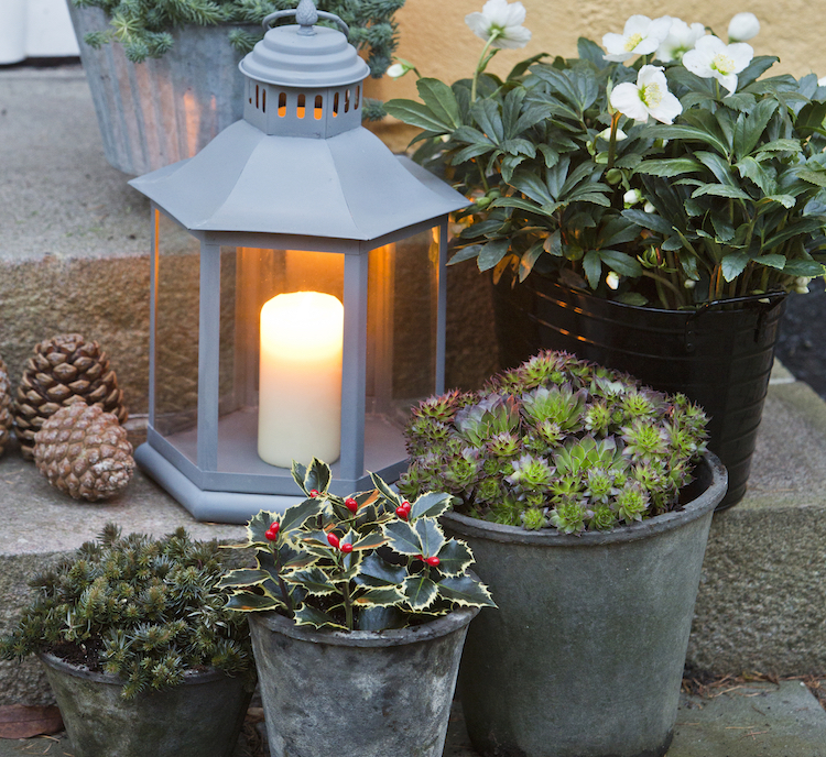 Julepyntning udendørs