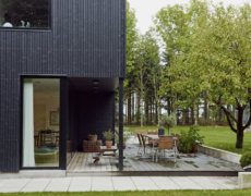 Amerikansk lade i skoven