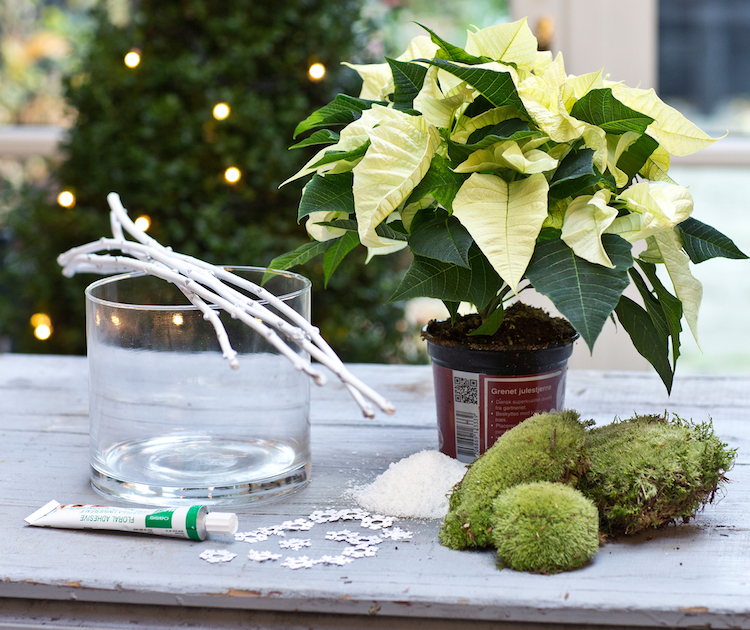 Dekoration med julestjerner