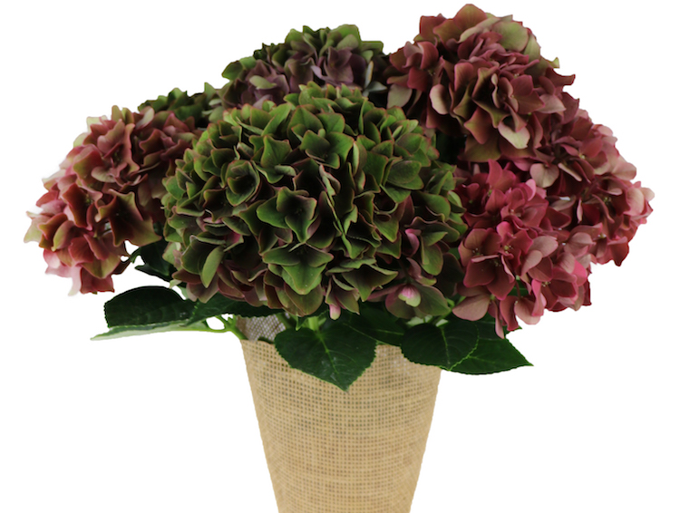 Vintage Hortensia