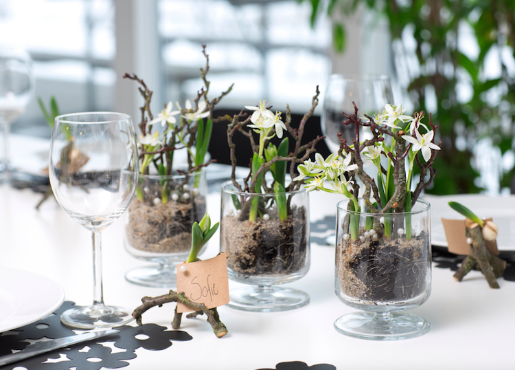 Småbladet Fuglemælk