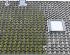 Algebehandling af tag