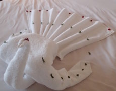 Drikkepenge giver fin service