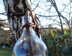 Birkesaft på flaske