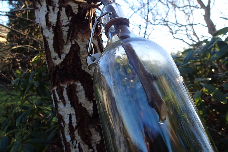 Flasken bindes til en gren