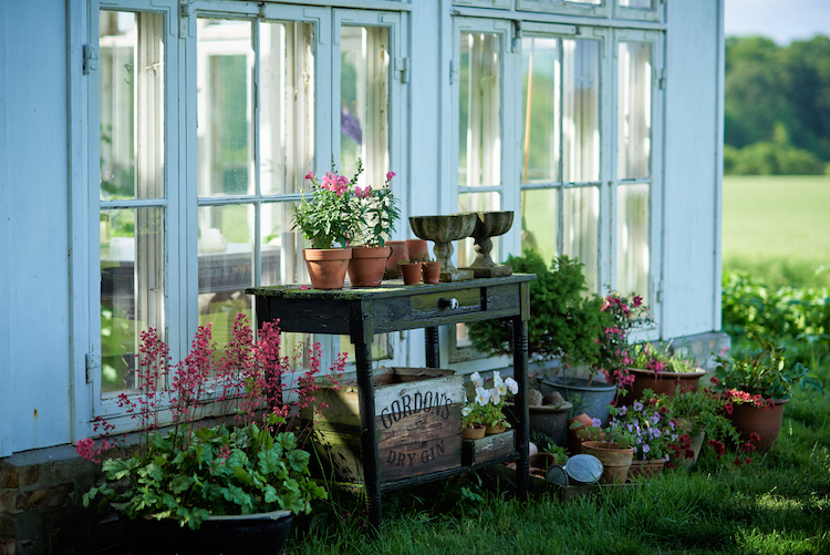 Smukt stilleben udenfor drivhuset