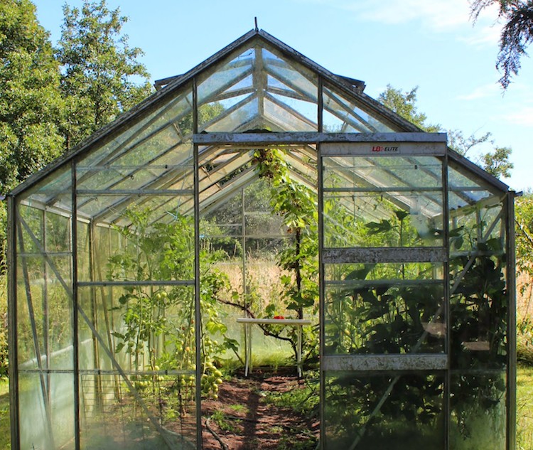 Drivhuset udefra