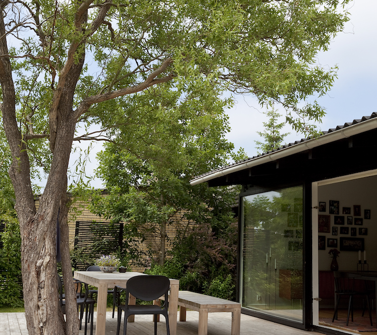 Træ indbygget i terrasse