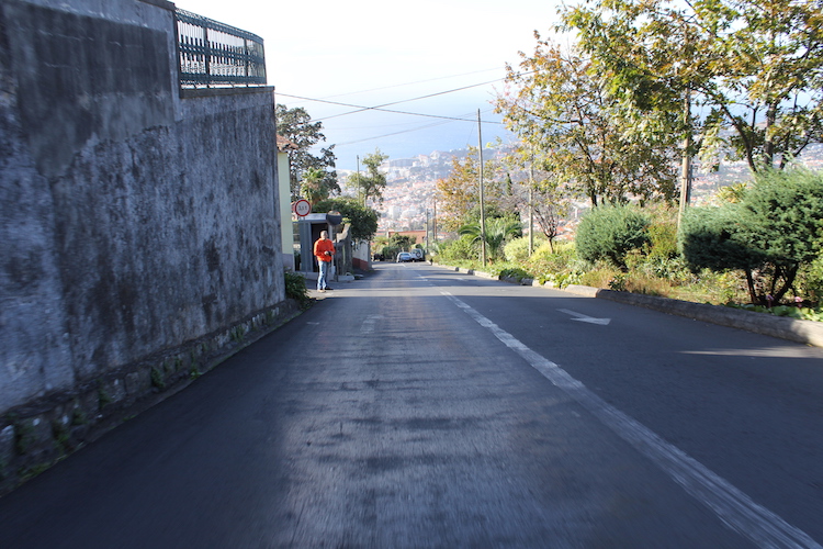 Ned ad vejen på slædetur