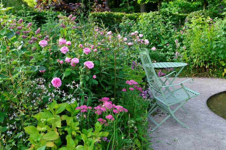 Der skal andre blomster til i dit rosenbed