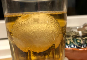 Æg i et glas eddike, bliver til et gummiæg