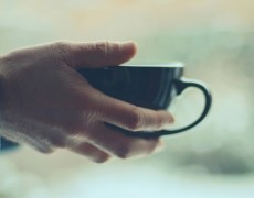 2013-14 var en mild vinter