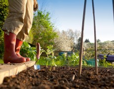 Jord er ikke bare jord