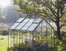 Drivhuset skal holdes fri fra sygdomme