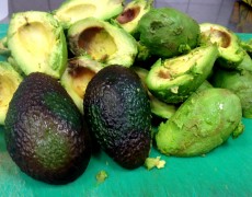Modne avocadoer