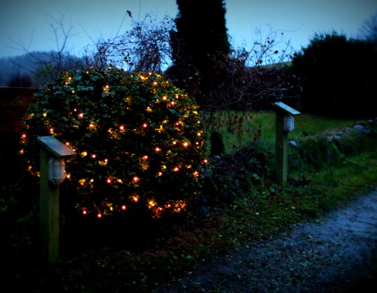 julekugle af buksbom, Signe fra Odsherred